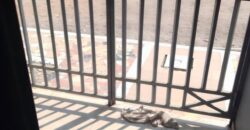 APPARTEMENT 3 PIECES