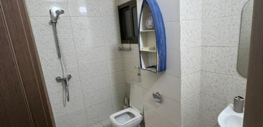 APPARTEMENT  MEUBLE 3 PIECES