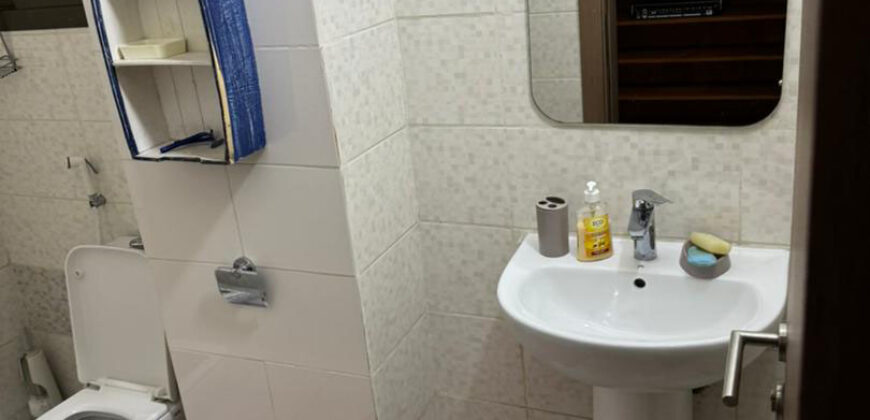 APPARTEMENT  MEUBLE 3 PIECES