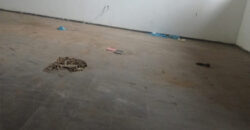 ENTREPÔT 900 m² | ZONE 4