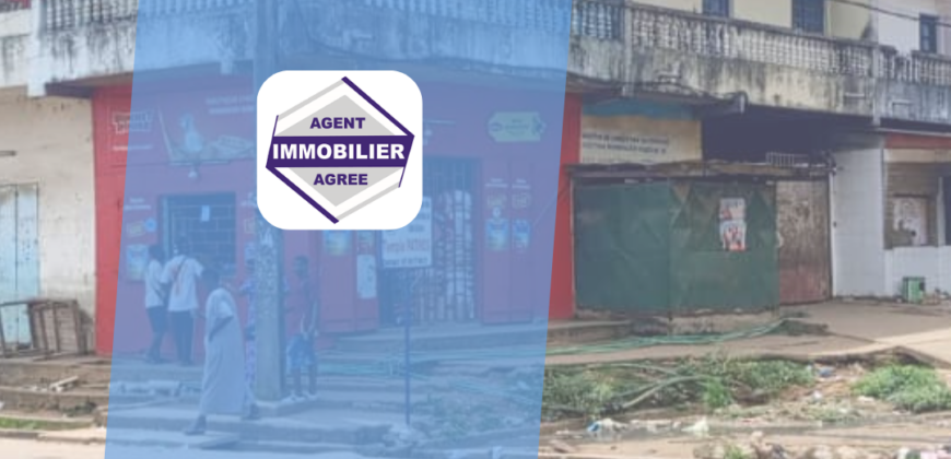 TERRAIN BÂTI R+1 | ADJAMÉ – ATTÉCOUBÉ